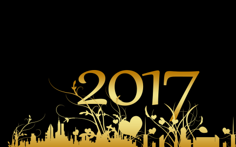 New year 2017 Hotel Paix République