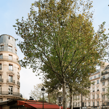 Hôtel Paix République - Façad